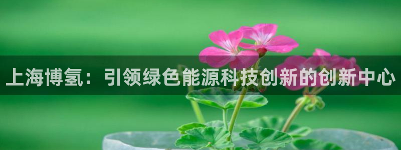 sunbet官网登录首页