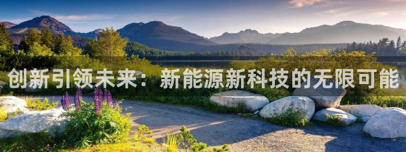 申博官方网站手机版下载
